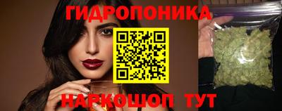 спиды Бийск