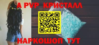 спиды Бийск