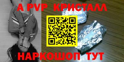 спиды Бийск